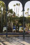 Jardin Majorelle, Owned by Yves St. Laurent, Marrakech, Morocco, North Africa, Africa-Stephen Studd-Photographic Print
