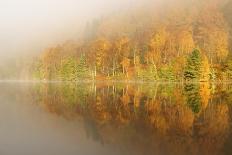 Golden Light Hits the Banks of Loch Achtriochtan-Stephen Taylor-Photographic Print