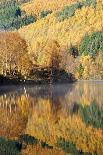 A Frozen Loch Tull at the Start of a New Day-Stephen Taylor-Stretched Canvas