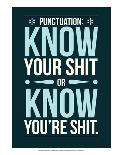 Punctuation: Know Your Shit-Stephen Wildish-Art Print