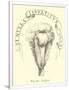 Gramercy White