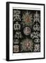 Stephoidea-Ernst Haeckel-Framed Art Print