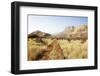 Steppe Erongo Mountains Namibia-mezzotint-Framed Photographic Print