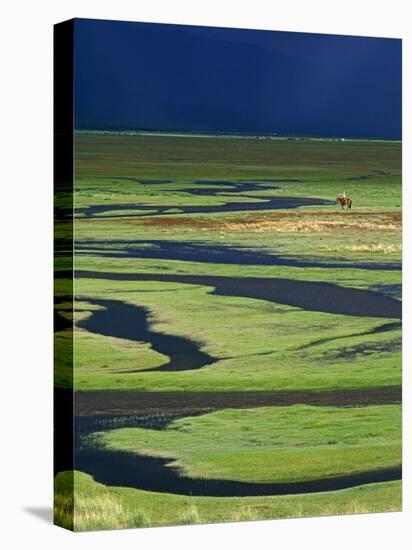 Steppeland, A Lone Horse Herder Out on the Steppeland, Mongolia-Paul Harris-Stretched Canvas