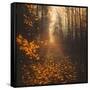 Stepping Into Autumn-Philippe Saint-Laudy-Framed Stretched Canvas