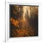 Stepping Into Autumn-Philippe Saint-Laudy-Framed Photographic Print