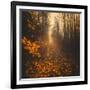 Stepping Into Autumn-Philippe Saint-Laudy-Framed Photographic Print