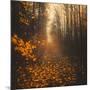 Stepping Into Autumn-Philippe Saint-Laudy-Mounted Photographic Print