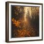 Stepping Into Autumn-Philippe Saint-Laudy-Framed Photographic Print