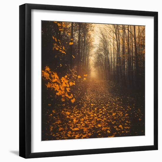 Stepping Into Autumn-Philippe Saint-Laudy-Framed Photographic Print