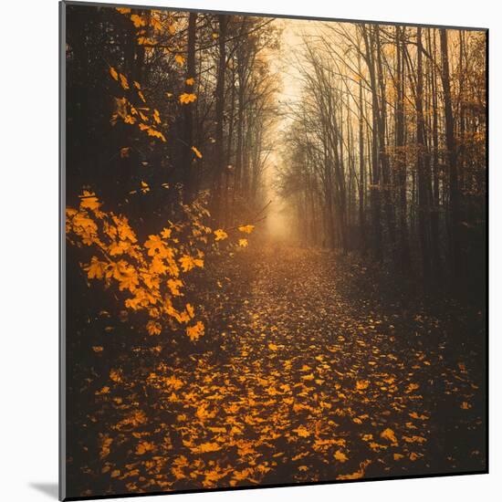 Stepping Into Autumn-Philippe Saint-Laudy-Mounted Photographic Print