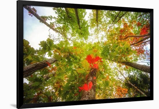 Stepping into the Light-Philippe Sainte-Laudy-Framed Photographic Print