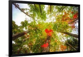 Stepping into the Light-Philippe Sainte-Laudy-Framed Photographic Print