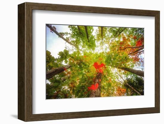 Stepping into the Light-Philippe Sainte-Laudy-Framed Photographic Print