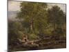 Stepping Stones on the River Rothay, under Loughrigg, 1857-George Pettitt-Mounted Giclee Print
