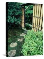 Stepping Stones, Shinshin-An, Kyoto, Japan-null-Stretched Canvas