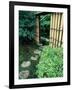 Stepping Stones, Shinshin-An, Kyoto, Japan-null-Framed Photographic Print