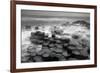 Stepping Stones-Wild Wonders of Europe-Framed Giclee Print