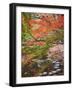 Steppingstones beneath Japanese maple-null-Framed Photographic Print