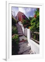 Steps And Flowers, St George, Bermuda-George Oze-Framed Photographic Print