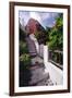 Steps And Flowers, St George, Bermuda-George Oze-Framed Photographic Print