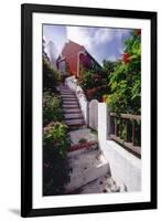 Steps And Flowers, St George, Bermuda-George Oze-Framed Photographic Print