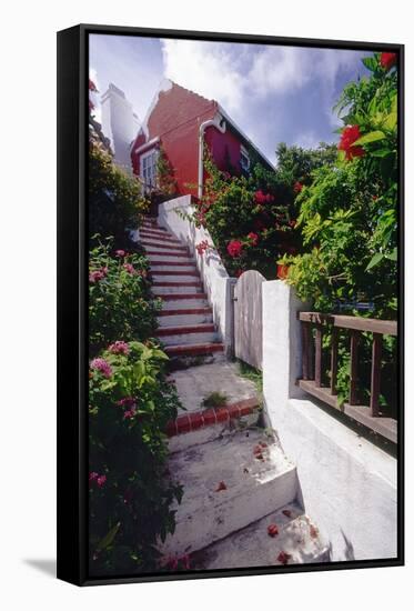 Steps And Flowers, St George, Bermuda-George Oze-Framed Stretched Canvas