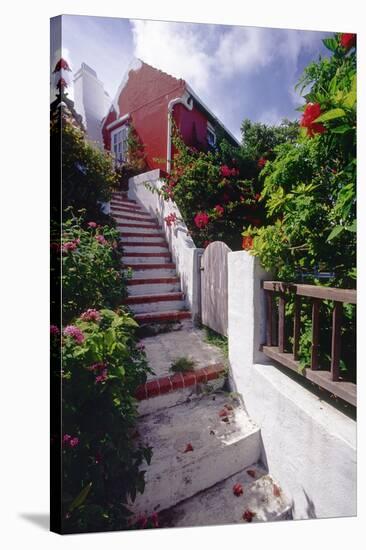 Steps And Flowers, St George, Bermuda-George Oze-Stretched Canvas
