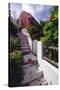 Steps And Flowers, St George, Bermuda-George Oze-Stretched Canvas