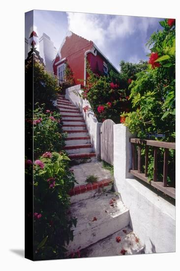 Steps And Flowers, St George, Bermuda-George Oze-Stretched Canvas