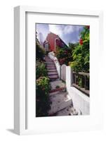 Steps And Flowers, St George, Bermuda-George Oze-Framed Photographic Print