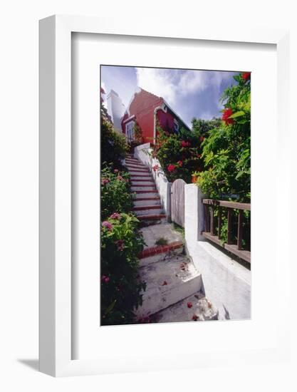 Steps And Flowers, St George, Bermuda-George Oze-Framed Photographic Print