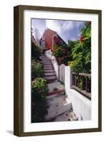 Steps And Flowers, St George, Bermuda-George Oze-Framed Photographic Print