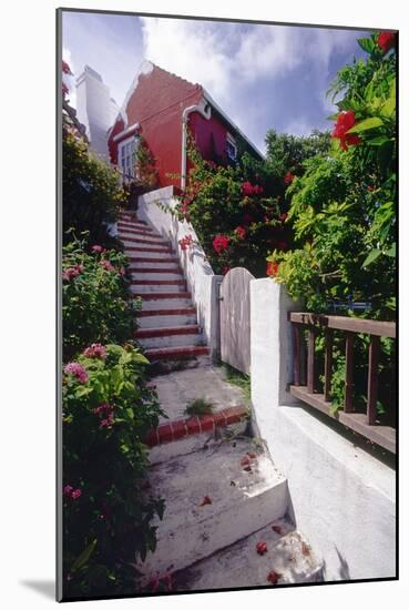 Steps And Flowers, St George, Bermuda-George Oze-Mounted Photographic Print