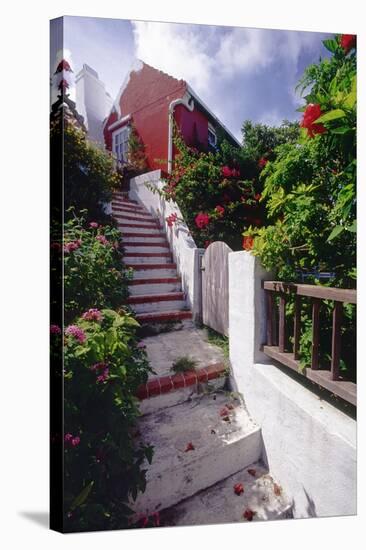 Steps And Flowers, St George, Bermuda-George Oze-Stretched Canvas