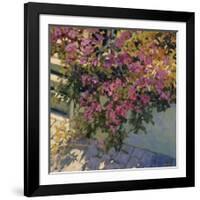 Steps and Summer Flowers-Philip Craig-Framed Art Print