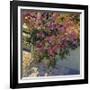 Steps and Summer Flowers-Philip Craig-Framed Art Print