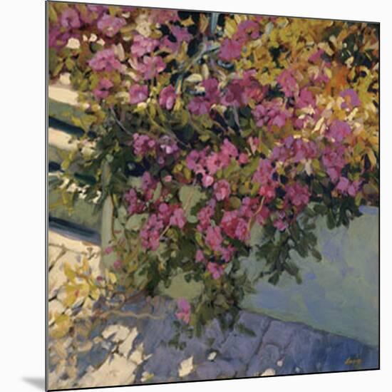 Steps and Summer Flowers-Philip Craig-Mounted Art Print