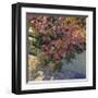 Steps and Summer Flowers-Philip Craig-Framed Giclee Print