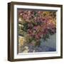 Steps and Summer Flowers-Philip Craig-Framed Giclee Print