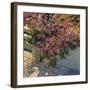 Steps and Summer Flowers-Philip Craig-Framed Giclee Print