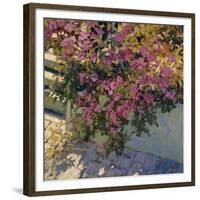 Steps and Summer Flowers-Philip Craig-Framed Giclee Print