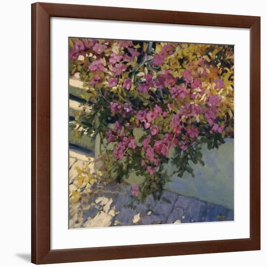 Steps and Summer Flowers-Philip Craig-Framed Giclee Print