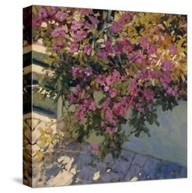 Steps and Summer Flowers-Philip Craig-Stretched Canvas