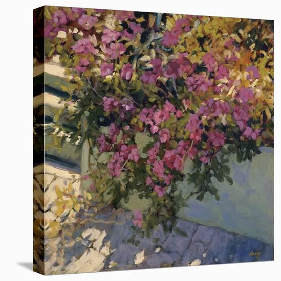 Steps and Summer Flowers-Philip Craig-Stretched Canvas