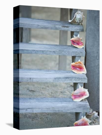 Steps, Caye Caulker, Belize-Russell Young-Stretched Canvas