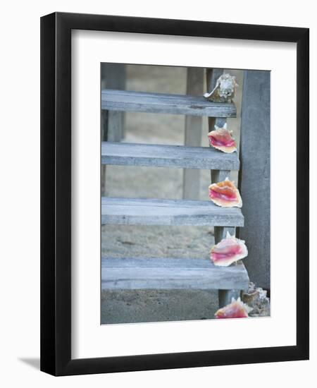 Steps, Caye Caulker, Belize-Russell Young-Framed Photographic Print