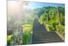 Steps flanked by stone pillars and Qi Ling lions leading up towards a stone gate, Zhejiang, China,-Andreas Brandl-Mounted Photographic Print