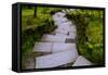 Steps I-Brian Moore-Framed Stretched Canvas
