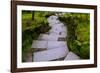 Steps I-Brian Moore-Framed Premium Photographic Print